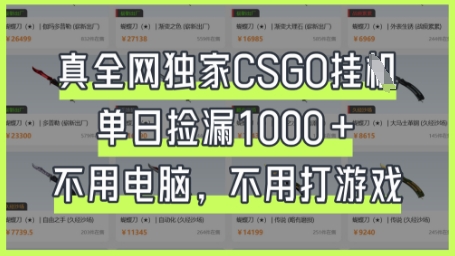 真全网独家CSGO挂G，单日捡漏1k+【揭秘】-慧创网