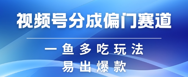视频号创作者分成计划偏门类目，容易爆流，实拍内容简单易做【揭秘】-慧创网