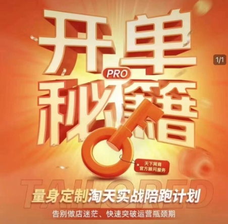 淘宝开单秘籍PRO，量身定制淘天实战陪跑计划，告别做店迷茫、快速突破运营瓶颈期-慧创网
