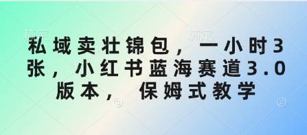 私域卖壮锦包，一小时3张，小红书蓝海赛道3.0版本， 保姆式教学-慧创网