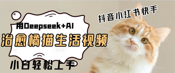 疯狂火爆，用Deepseek+AI做治愈橘猫系列视频，小白轻松制作+快速拿到结果-慧创网