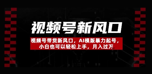 视频号带货新风口，AI模版暴力起号，小白也可以轻松上手，月入过W-慧创网