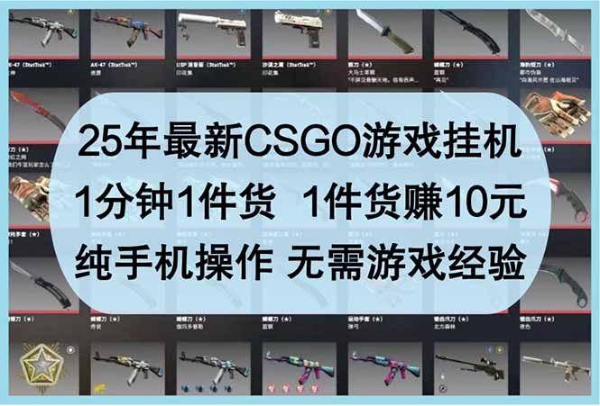 （14439期）25年最新CSGO游戏挂机，1分钟1件货，1件货赚10元 纯手机操作 无需游戏经验-慧创网