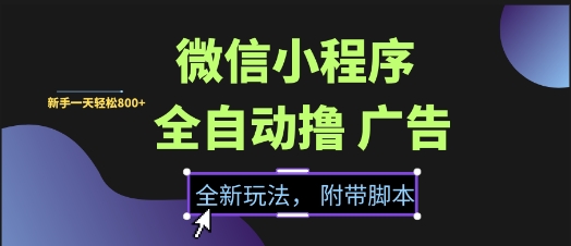 微信小程序全自动撸广告项目，彻底解决没流量的问题，新手一天8张+【揭秘】-慧创网