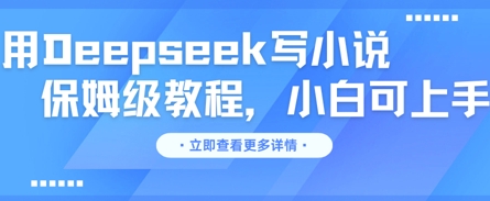 用Deepseek写小说，保姆级教程，小白可实操-慧创网