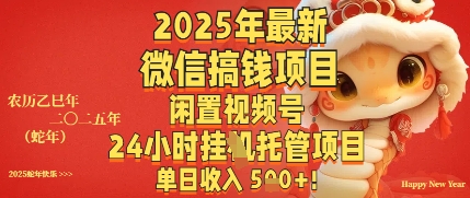 2025年最新微信搞钱项目，闲置视频号年24小时挂G托管项目，单日收入多张-慧创网