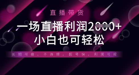 半无人直播带货，一场利润数张，适合所有平台玩法，小白也可轻松-慧创网