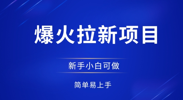 爆火拉新项目，有手就行，小白轻松入门，日入1张拉新整套流程-慧创网