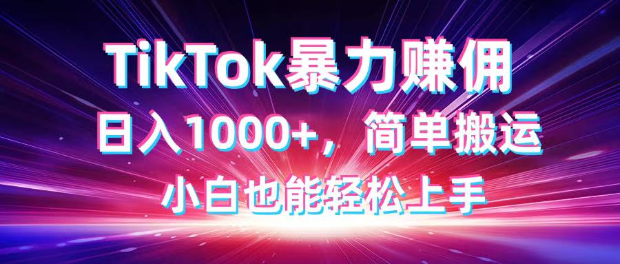 （14402期）TikTok搬运暴力赚佣，日入1000+，简单搬运，小白也能轻松上手-慧创网