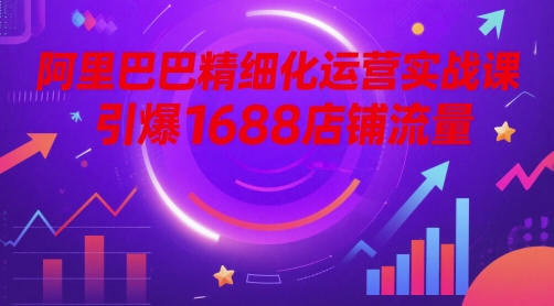 阿里巴巴精细化运营实战课，引爆1688店铺流量-慧创网