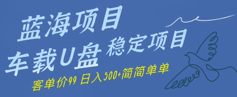 蓝海项目车载U盘稳定项目，挣的就是信息差，客单价99，日入几张简简单单-慧创网