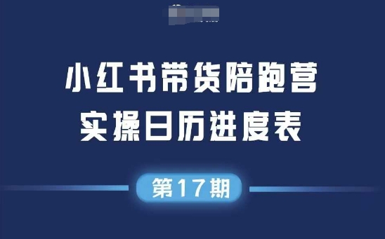 小红书第17期带货陪跑营，不囤货，无不直播，无不投流，通过选品+笔记内容+测品+笔记铺量+矩阵运营打爆款-慧创网