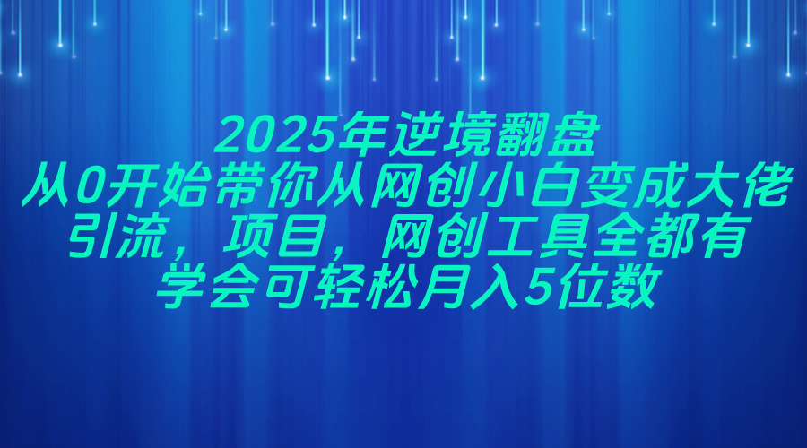 （14473期）2025年逆境翻盘，从0开始带你从网创小白变成大佬，引流，项目，网创工…-慧创网