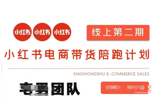 小红书电商带货课2期，月利润20个的小红书电商的有货源，无货源，虚拟产品，付费投流等整套玩法-慧创网