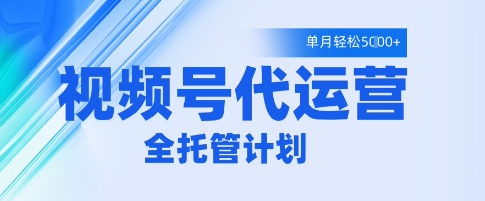 视频号代运营2.0，全程托管招募，单月轻松变现5k【揭秘】-慧创网