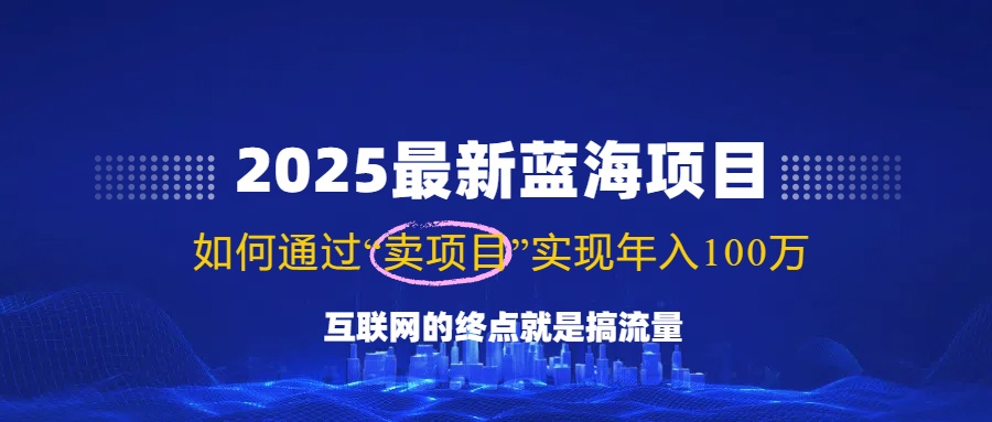 （14305期）2025最新蓝海项目，零门槛轻松复制，月入10万+，新手也能操作！-慧创网