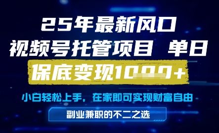25年最新风口，视频号托管项目，单日保底变现1k+，手把手教学【揭秘】-慧创网