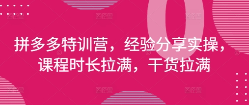 拼多多特训营，经验分享实操，课程时长拉满，干货拉满(更新25年4月)-慧创网
