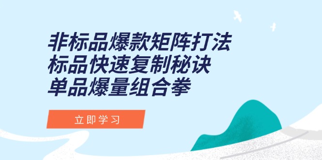 （15068期）非标品爆款矩阵打法，标品快速复制秘诀，单品爆量组合拳-慧创网