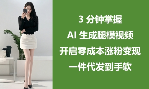 3分钟掌握AI生成腿模视频，开启零成本涨粉变现，一件代发到手软-慧创网