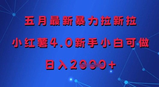 五月最新暴力拉新拉，小红薯4.0新手小白可做，日入多张-慧创网