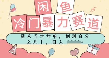 闲鱼冷门暴力赛道，新人当天开单，门槛低，日入多张-慧创网