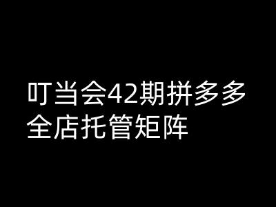 叮当会拼多多打爆班原创高阶技术第42期，拼多多全店托管矩阵-慧创网