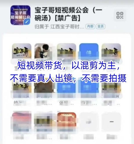 宝子哥头部团队短视频带货，以混剪为主，不需要真人出镜，不需要拍摄-慧创网