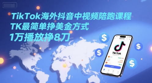 TikTok海外抖音中视频陪跑课程，TK最简单挣美金方式，1万播放挣8刀-慧创网